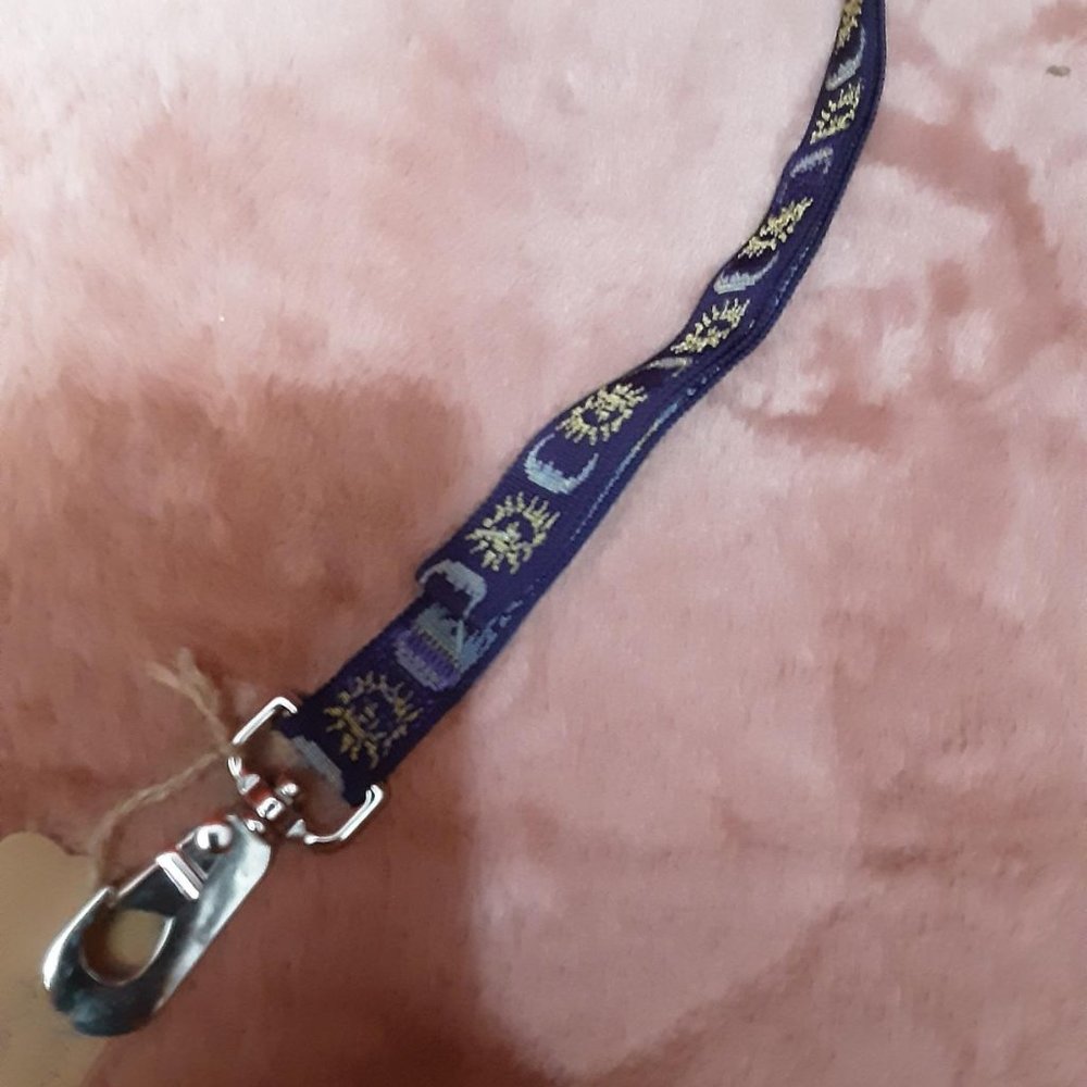 1" x 6 foot dog leash  new